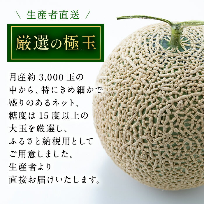 【ふるさと納税】＜容量が選べる！＞＜父の日ギフト・数量限定＞高級アールスメロン(大玉1玉・1.7kg、黄色バラ付(造花)付/大玉2玉・計3.4kg、黄色バラ付(造花)付) メロン フルーツ 果物 果実 1キロ 3キロ 数量限定 期間限定 贈答 贈り物 父の日【マル福園芸組合】 - 画像3