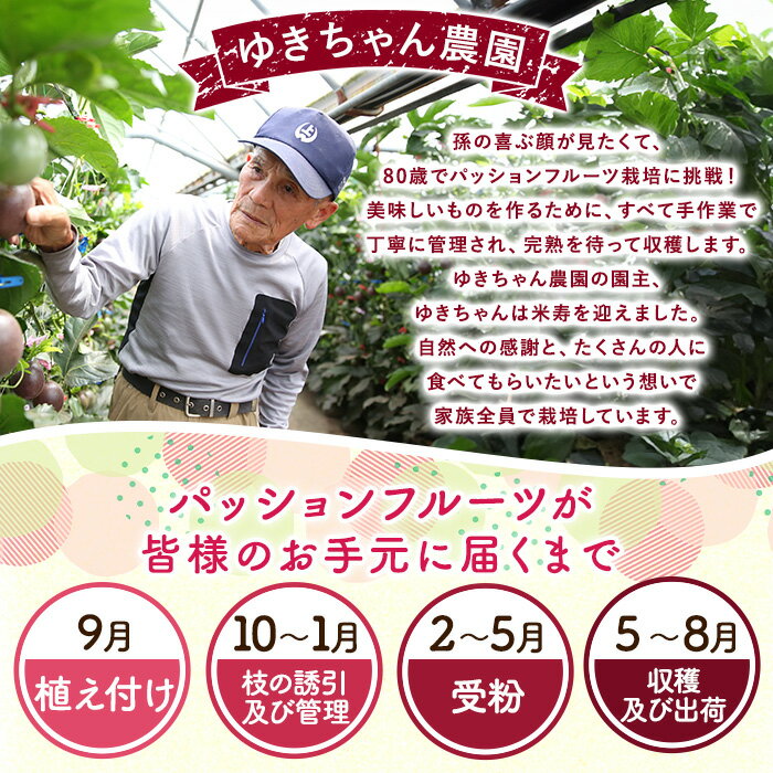 【ふるさと納税】ゆきちゃん農園のパッションフルーツ(1.2kg以上) フルーツ 果物 果実 1キロ 期間限定 国産【ゆきちゃん農園】【0105302a】 - 画像3