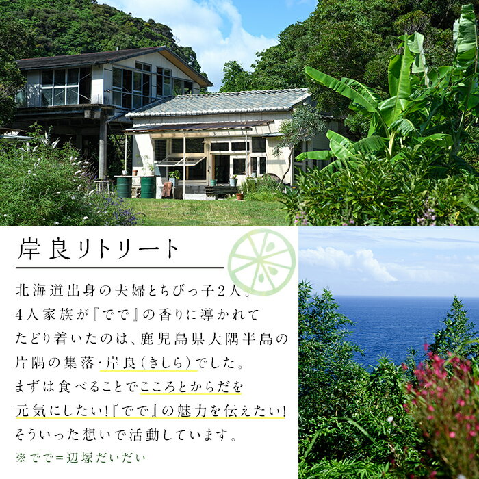 【ふるさと納税】できたひこ出来た塩 岸良の塩 (100g) 国産 塩 しお ソルト salt 調味料 ミネラル パック 天日塩 天然 無添加 【岸良リトリート】 - 画像2