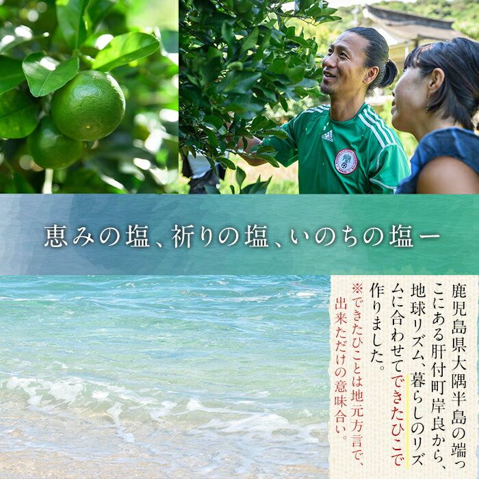 【ふるさと納税】できたひこ出来た塩 岸良の塩 (100g) 国産 塩 しお ソルト salt 調味料 ミネラル パック 天日塩 天然 無添加 【岸良リトリート】 - 画像3