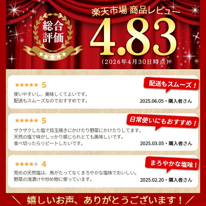 【ふるさと納税】できたひこ出来た塩 岸良の塩 (100g) 国産 塩 しお ソルト salt 調味料 ミネラル パック 天日塩 天然 無添加 【岸良リトリート】 - 画像2