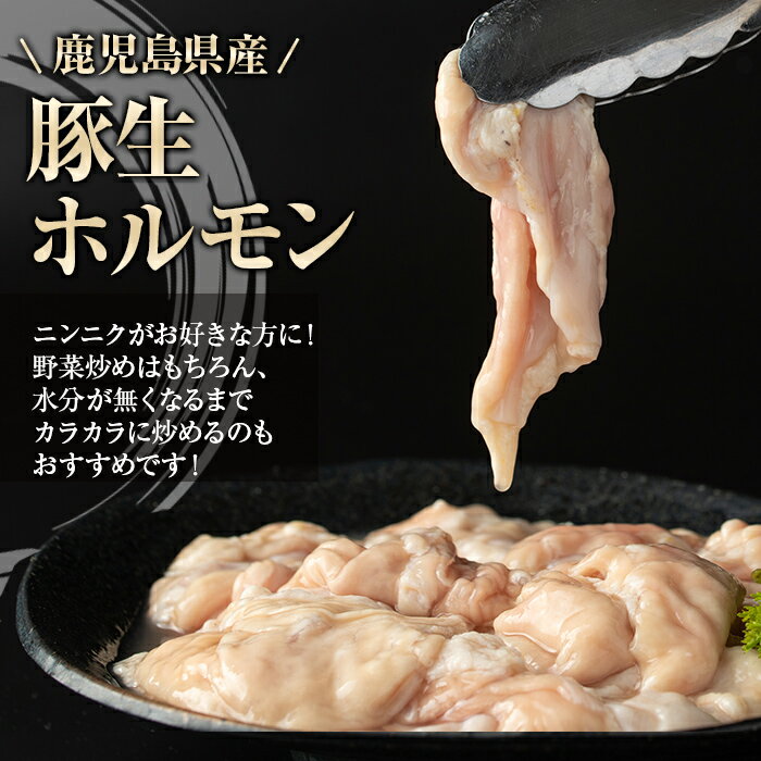 【ふるさと納税】＜容量が選べる！＞豚生ホルモンにんにく醤油味付(約300g×1P or 計1kg・約220g×4P) 鹿児島 豚肉 ホルモン 生ホルモン にんにく 醤油 おかず 加工品 味付け 冷凍 冷凍食品 お弁当【肉のふくおか】 サムネイル3