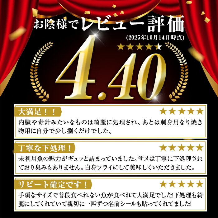 【ふるさと納税】漁師厳選！ロコフィッシュ(地魚) 下処理済 鮮魚 ボックス(約1〜5kg)【発泡スチロール包装 or エコ包装(段ボール)】 地魚 魚 1kg 2kg 3kg 4kg 5kg 冷蔵 新鮮 加工品 未利用魚 低利用魚 焼き魚 刺し身 刺身 鮮魚セット 鮮魚ボックス 鮮魚BOX 【昌徳丸】 - 画像2