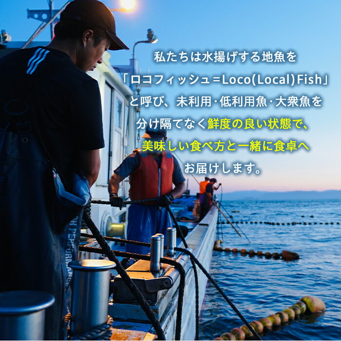 【ふるさと納税】＜容量が選べる！＞漁師厳選！ロコフィッシュ(地魚) 下処理済 鮮魚 ボックス(約1〜5kg)【エコ包装】 地魚 魚 1kg 2〜3kg 4〜5kg お魚 冷蔵 新鮮 加工品 未利用魚 低利用魚 焼き魚 焼魚 刺し身 刺身 煮魚 鮮魚セット 鮮魚ボックス 鮮魚BOX 【昌徳丸】 サムネイル3