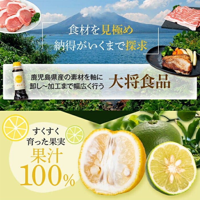 【ふるさと納税】やさしいポン酢セット(200ml×3本) 調味料 ドレッシング ぽん酢 ぽんず 辺塚だいだい ゆず しゃぶしゃぶ 冷しゃぶ サラダ さっぱり ギフト プレゼント 贈答 お中元 お歳暮 【大将食品】 サムネイル2