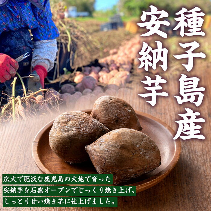【ふるさと納税】しっとり安納芋の焼き芋(250g×6袋)国産 種子島 さつまいも さつま芋 安納芋 安納いも サツマイモ 焼芋 やきいも 焼いも 冷やし焼き芋 スイーツ おやつ デザート 冷凍【中園久太郎商店】 - 画像2