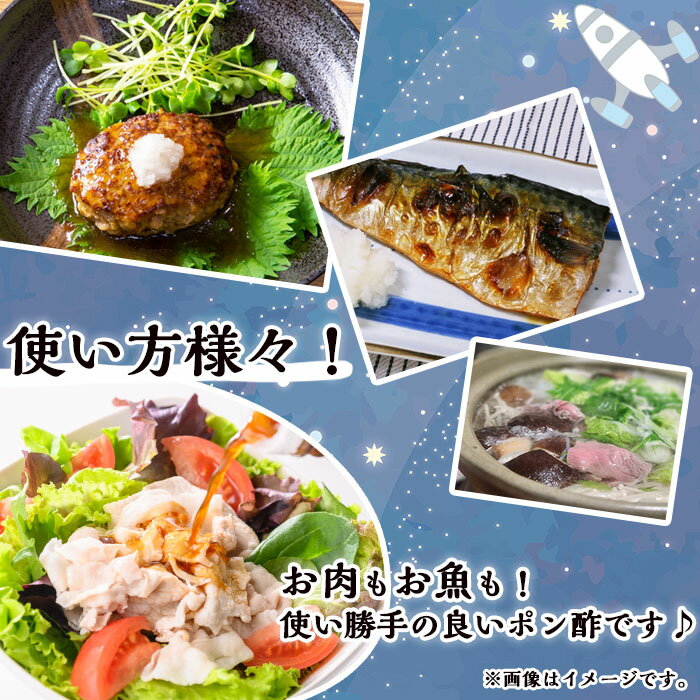 【ふるさと納税】だいだい実のなるぽんず(200ml×2本) 鹿児島 種子島 ドレッシング 調味料 ポン酢 ぽん酢 柑橘 橙 果実 常温 常温保存【スカイショップ銀河】 サムネイル3