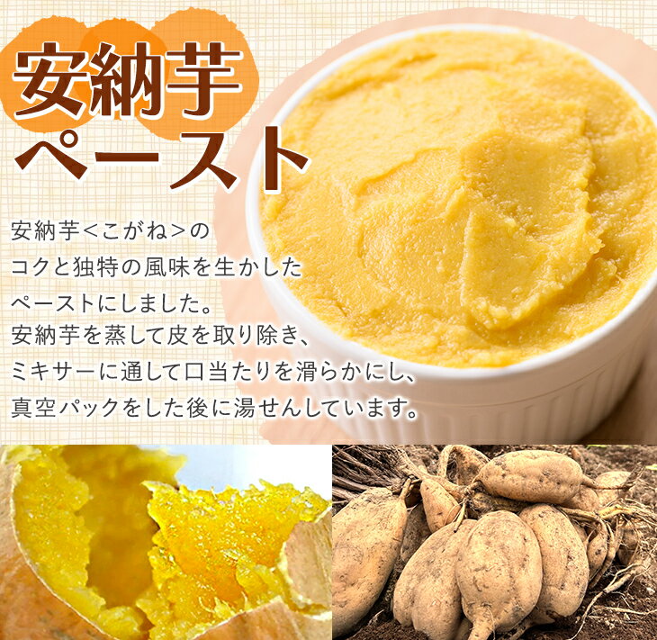 【ふるさと納税】安納芋(安納こがね) ペースト(3kg・1kg×3P) 国産 安納芋 芋 いも イモ さつまいも さつま芋 安納いもペースト 小分け 真空パック 野菜 お菓子作り 製菓材料 冷凍 【なかたね農産】 - 画像2