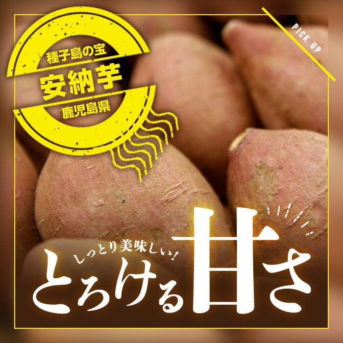 【ふるさと納税】＜先行予約受付中！2025年10月中旬頃より順次発送予定＞サイズが選べる！種子島産 安納芋(S～Mサイズ・10kg) 特産品 いも イモ 安納いも 野菜 芋類 スイーツ おやつ 本場 焼芋 焼き芋 生芋【JA種子屋久】 サムネイル3