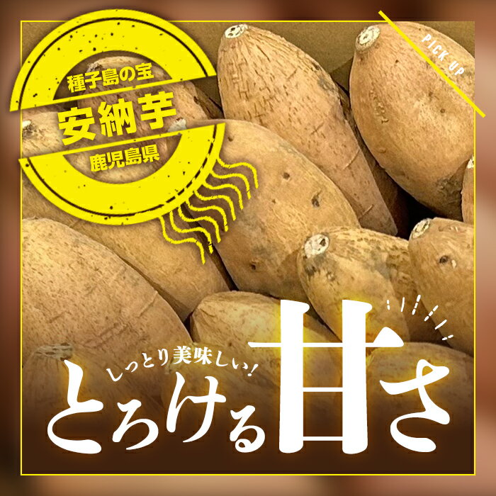 【ふるさと納税】＜期間限定！＞内容量が選べる！種子島産 安納こがね(5kgセット or 10kgセット) 国産 安納芋 黄金 本場 種子島 芋 イモ いも さつまいも さつま芋 安納いも 野菜【なかたね農産】 - 画像2