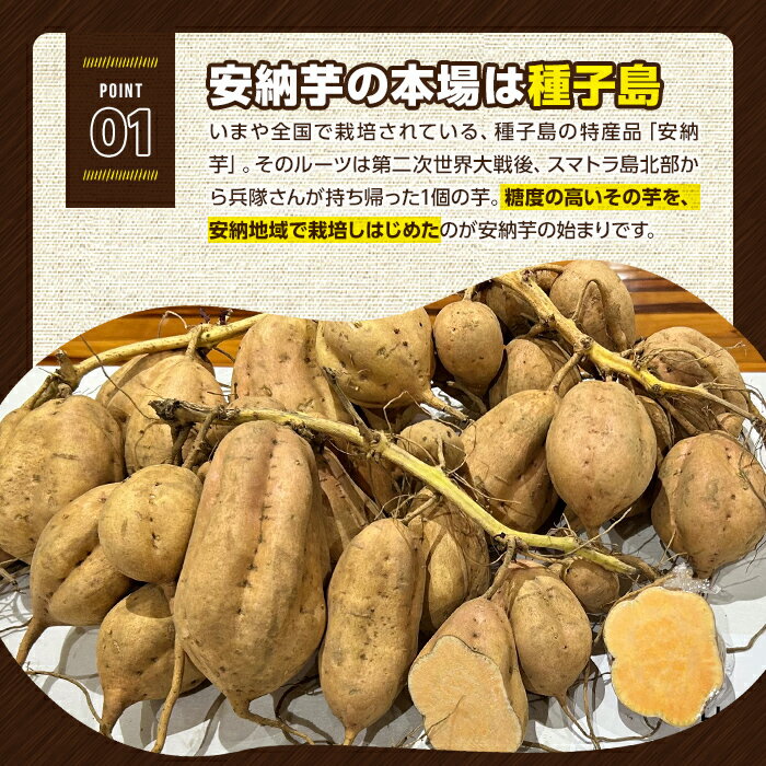 【ふるさと納税】＜期間限定！＞内容量が選べる！種子島産 安納こがね(5kgセット or 10kgセット) 国産 安納芋 黄金 本場 種子島 芋 イモ いも さつまいも さつま芋 安納いも 野菜【なかたね農産】 - 画像3