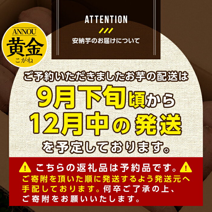 【ふるさと納税】＜期間限定！先行予約受付中！2025年9月下旬頃から12月中の発送予定＞内容量が選べる！種子島産 安納芋＜黄金＞(3～10kg) 国産 安納芋 黄金 種子島 芋 さつま芋 生芋 安納いも 野菜 焼芋 焼き芋 こがね【うずえ屋】 サムネイル2