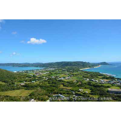 【ふるさと納税】鹿児島県龍郷町の対象施設で使える楽天トラベルクーポン 寄付額100,000円 サムネイル2
