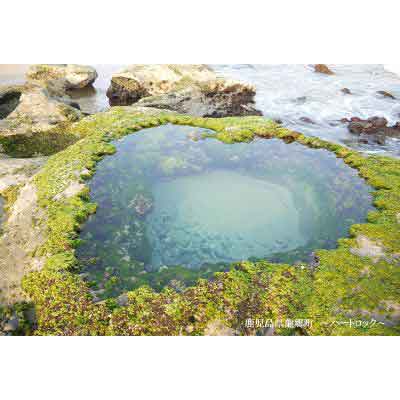【ふるさと納税】鹿児島県龍郷町の対象施設で使える楽天トラベルクーポン 寄付額100,000円 サムネイル3