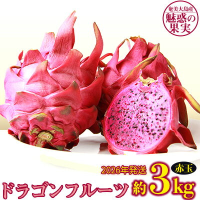 2026年発送【奄美大島産】魅惑の果実・ドラゴンフルーツ(赤玉)約3kg 鹿児島県 奄美群島 奄美大島 龍郷町 国産 奄美産 青果 果実 果物 くだもの フルーツ デザート ピタヤ 火龍果 南国 トロピカル お取り寄せ 先行予約 期間限定 数量限定