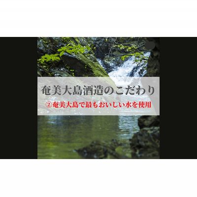 【ふるさと納税】奄美黒糖焼酎 浜千鳥乃詩 天目ひょうたん 30度 720ml 鹿児島県 奄美群島 奄美大島 龍郷町 黒糖 焼酎 お酒 蒸留酒 アルコール 糖質ゼロ プリン体ゼロ 低カロリー 晩酌 ロック 水割り お湯割り お取り寄せ プレゼント オブジェ 置物 サムネイル3