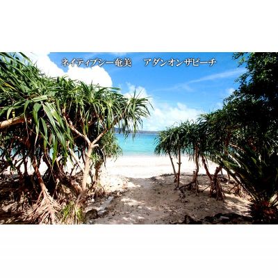 【ふるさと納税】【奄美大島：龍郷町】しろくまツアーで利用可能なWEB旅行クーポン（15000円分） サムネイル3