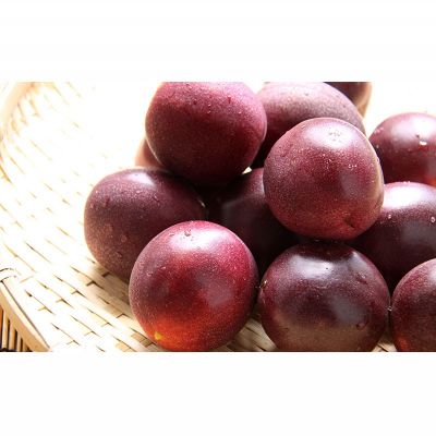 【ふるさと納税】2026年発送【あたり果樹園】奄美パッションフルーツ 秀品 約1kg 鹿児島県 奄美群島 奄美大島 龍郷町 国産 奄美産 果物 青果 くだもの フルーツ 南国 トロピカル 初夏の果実 果物時計草 さわやか 甘酸っぱい 秀品 お取り寄せ 先行予約 数量限定 サムネイル2