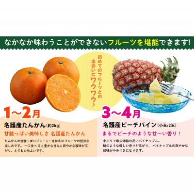 【ふるさと納税】【名護パイン園】旬の南国フルーツ定期便（6回コース） 沖縄 産地直送 期間限定 南国フルーツ 果物 パッションフルーツ スナックパイン アップルマンゴー マンゴー バナナ お取り寄せ 旬のフルーツ 人気 おすすめ 贈答品 プレゼント 贈り物 ギフト サムネイル2
