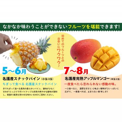 【ふるさと納税】【名護パイン園】旬の南国フルーツ定期便（6回コース） 沖縄 産地直送 期間限定 南国フルーツ 果物 パッションフルーツ スナックパイン アップルマンゴー マンゴー バナナ お取り寄せ 旬のフルーツ 人気 おすすめ 贈答品 プレゼント 贈り物 ギフト サムネイル3