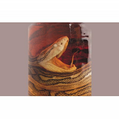 【ふるさと納税】ヘリオス酒造【50年以上のロングセラーブランド】沖縄産さとうきび100％・沖縄ラム漬けハブ酒「うるま」ハブ入り40度3800ml【ハブサイズS】 サムネイル2