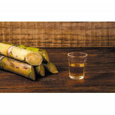 【ふるさと納税】ヘリオス酒造【50年以上のロングセラーブランド】沖縄産さとうきび100％・沖縄ラム漬けハブ酒「うるま」ハブ入り40度3800ml【ハブサイズS】 サムネイル3