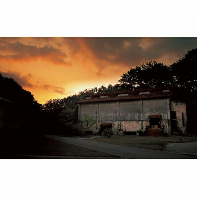 【ふるさと納税】ヘリオス酒造　甕入り・琉球泡盛「しゅろ縄巻壷　寿(ことぶき)」43度　1800ml サムネイル3