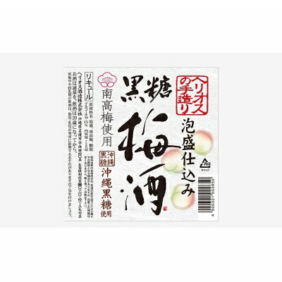 【ふるさと納税】ヘリオス酒造【沖縄泡盛仕込みの梅酒ギフト】黒糖梅酒720ml2本セット サムネイル2