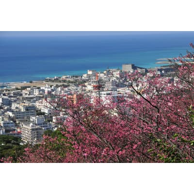 【ふるさと納税】沖縄県名護市の対象施設で使える楽天トラベルクーポン 寄付額20,000円 サムネイル3