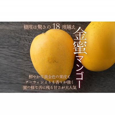 【ふるさと納税】【2026年 先行予約 数量限定】金蜜マンゴー 家庭用 2kg以上 家庭用 先行予約 沖縄 甘味 糖度 濃厚 おいしい お土産 まんごー きんみつ ギフト プレゼント 果実 くだもの 果物 ふるさと納税 送料無料 トロピカル 名護市 フルーツ サムネイル3