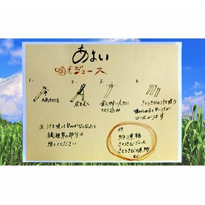 【ふるさと納税】屋我地島のサトウキビ　約800g 珍しい お土産 沖縄 おきなわ 短冊型 自然 甘み イネ科 ミネラル 食物繊維 さとうきび 果汁 エネルギー カルシウム マグネシウム 鉄 サトウキビ ビタミン ポリフェノール フラボノイド - 画像2