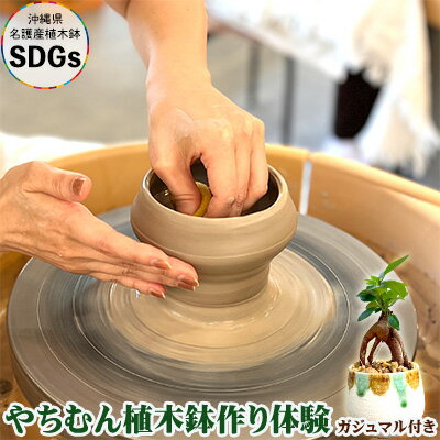やちむん植木鉢作り体験　ガジュマル付き【SDGs】 やちむん 焼き物 陶芸 ガジュマル 植木鉢 体験 伝統 工芸 植物 鑑賞用 観葉植物 インテリア 初心者 ふるさと納税 おきなわ 沖縄 オキナワ 名護 ナゴ 国産