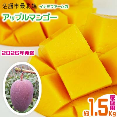 【2026年発送】名護市最北端イナミファームの家庭で楽しむアップルマンゴー 約1.5kg フルーツ 果物 期間限定 数量限定 マンゴー 南国 プレゼント お土産 おみやげ ギフト くだもの 沖縄 おきなわ 青果 デザート 冷蔵 おすすめ 人気 夏 スイーツ