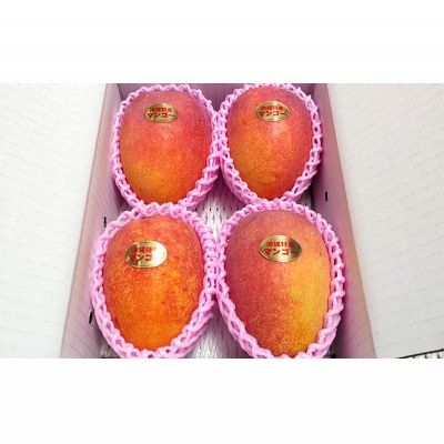 【ふるさと納税】【2026年発送】名護市最北端イナミファームの家庭で楽しむアップルマンゴー 約1.5kg フルーツ 果物 期間限定 数量限定 マンゴー 南国 プレゼント お土産 おみやげ ギフト くだもの 沖縄 おきなわ 青果 デザート 冷蔵 おすすめ 人気 夏 スイーツ サムネイル2