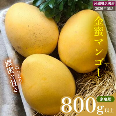 【2026年 先行予約 数量限定】金蜜マンゴー 家庭用 800g以上 家庭用 先行予約 沖縄 甘味 糖度 濃厚 おいしい お土産 まんごー きんみつ ギフト プレゼント 果実 くだもの 果物 ふるさと納税 送料無料 トロピカル 名護市 フルーツ