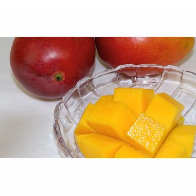 【ふるさと納税】【2026年発送】　ご家庭で美味しく！アップルマンゴー約1kg【つは農園】 フルーツ 果物 期間限定 数量限定 先行予約 南国 プレゼント お土産 おみやげ ギフト くだもの 季節 おきなわ 青果 デザート おすすめ 人気 冷蔵 夏 スイーツ サムネイル2