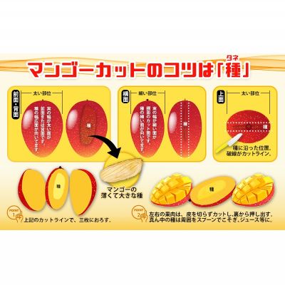 【ふるさと納税】【2026年発送】　ご家庭で美味しく！アップルマンゴー約1kg【つは農園】 フルーツ 果物 期間限定 数量限定 先行予約 南国 プレゼント お土産 おみやげ ギフト くだもの 季節 おきなわ 青果 デザート おすすめ 人気 冷蔵 夏 スイーツ サムネイル3