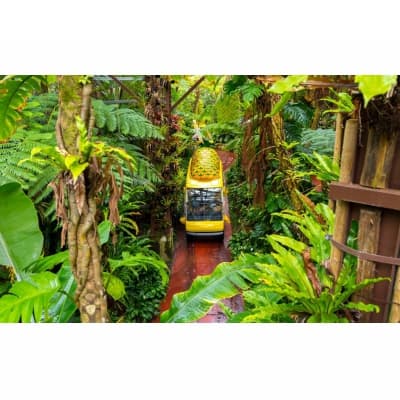 【ふるさと納税】パイナップルワイン甘口＆辛口セット サムネイル3