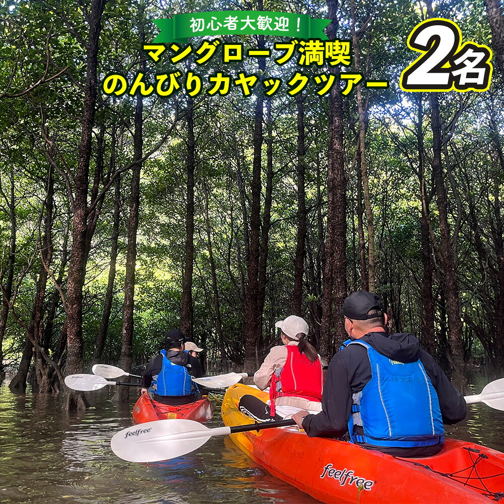 初心者大歓迎！マングローブ満喫のんびりカヤックツアー（ペアチケット） カヤック 初心者 大歓迎 マングローブ ペアチケット わんさか大浦パーク ツアー 大自然 2名 おすすめ オススメ 南国気分 沖縄県 名護市 満喫 のんびり 体験 ヤンバル やんばる