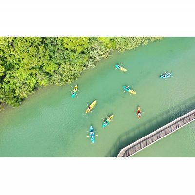 【ふるさと納税】初心者大歓迎！マングローブ満喫のんびりカヤックツアー（ペアチケット） カヤック 初心者 大歓迎 マングローブ ペアチケット わんさか大浦パーク ツアー 大自然 2名 おすすめ オススメ 南国気分 沖縄県 名護市 満喫 のんびり 体験 ヤンバル やんばる - 画像2