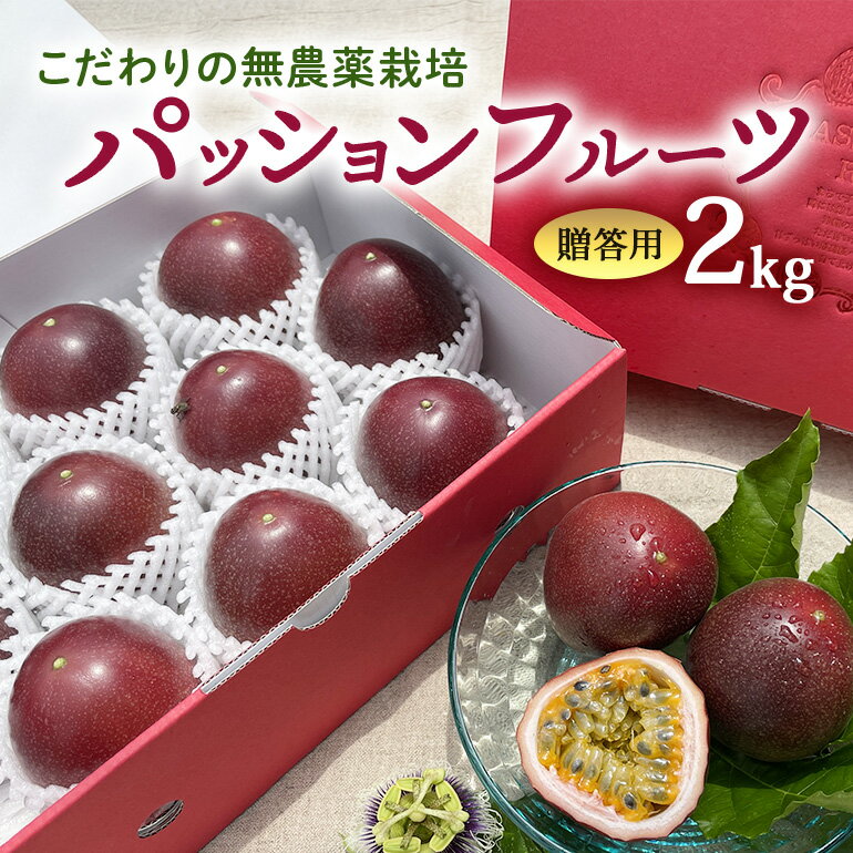 【 先行予約 2026年 発送 】こだわりの無農薬栽培パッションフルーツ 2kg ＜贈答用＞ 果物 フルーツ くだもの 2キロ 沖縄 果実 南国フルーツ 沖縄県産 美味しい 甘い あまい 甘み 酸味 爽やか 産地直送 農家直送 産直 ギフト 贈答品 沖縄県 糸満市 送料無料
