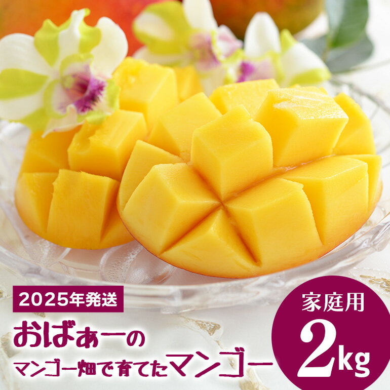 【先行予約 2026年 発送】おばぁーのマンゴー畑で育てたマンゴー 家庭用 沖縄県産 マンゴー 2kg アップルマンゴー アーウィンマンゴー 国産 完熟マンゴー 果物 南国 くだもの フルーツ 完熟 夏 旬 特産品 沖縄 お取り寄せ 名産品 甘い 濃厚 糸満市 送料無料