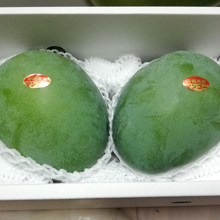 【ふるさと納税】【 先行予約 2026年 発送 】 濃厚な大人の味 沖縄県「 キーツマンゴー 」2kg 沖縄県産 マンゴー 2キロ 緑色 希少 国産 果物 南国 くだもの フルーツ 夏 旬 特産品 沖縄 お取り寄せ 産地直送 農家直送 甘い 濃厚 糸満市 送料無料 サムネイル2