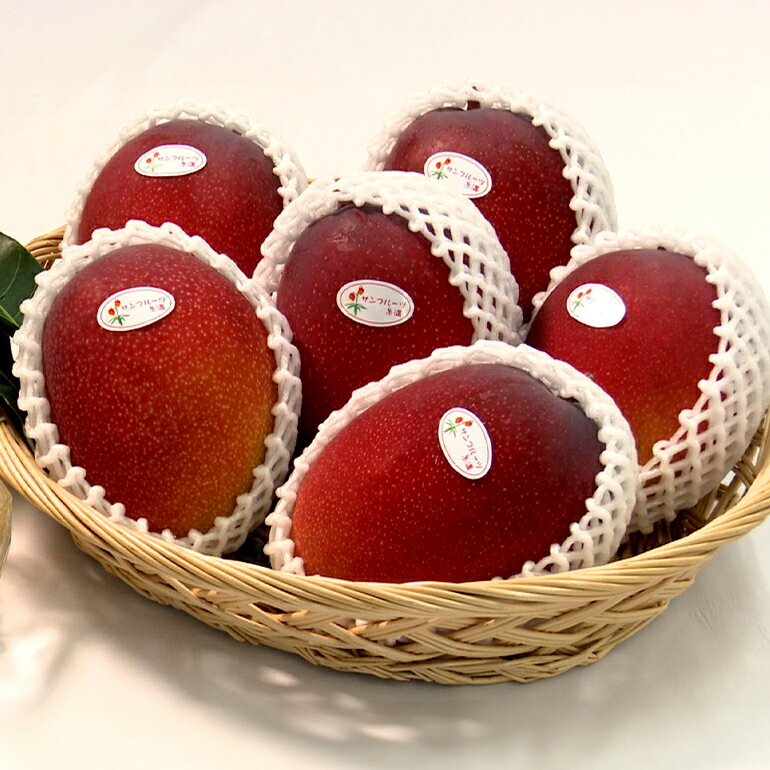 【ふるさと納税】【 先行予約 2026年 発送 】 沖縄県知事賞4度受賞 マンゴー 家庭用 2kg サンフルーツ糸満 沖縄県産 アップルマンゴー アーウィンマンゴー 2キロ 国産 完熟マンゴー 果物 くだもの フルーツ 完熟 夏 旬 沖縄 産地直送 農家直送 甘い 濃厚 糸満市 送料無料 サムネイル3