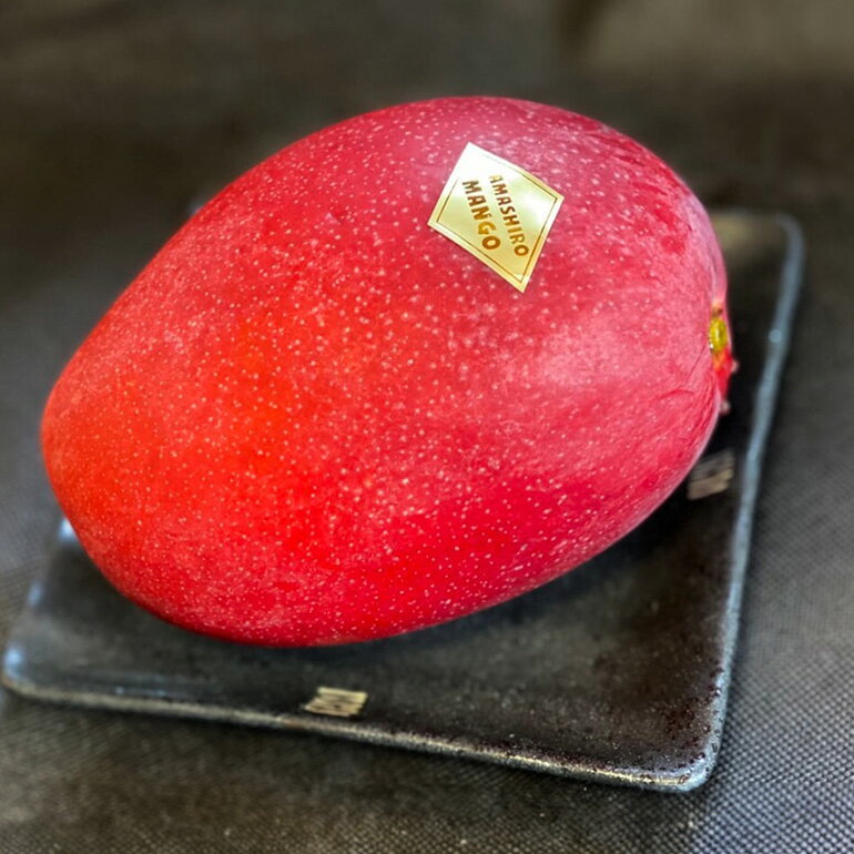 【ふるさと納税】【 先行予約 2026年 発送 】 沖縄県産 マンゴー 『極み。』2kg 山城マンゴー屋 アップルマンゴー アーウィンマンゴー 国産 完熟マンゴー 果物 南国 くだもの フルーツ 完熟 夏 旬 沖縄 お取り寄せ 産地直送 農家直送 甘い 濃厚 糸満市 送料無料 サムネイル3