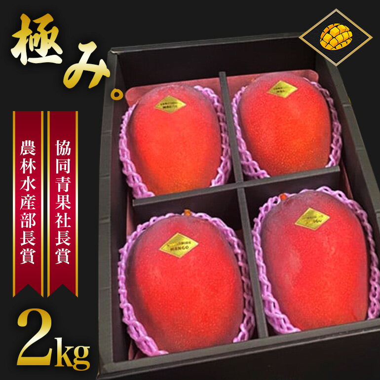 【 先行予約 2026年 発送 】 沖縄県産 マンゴー 『極み。』2kg 山城マンゴー屋 アップルマンゴー アーウィンマンゴー 国産 完熟マンゴー 果物 南国 くだもの フルーツ 完熟 夏 旬 沖縄 お取り寄せ 産地直送 農家直送 甘い 濃厚 糸満市 送料無料
