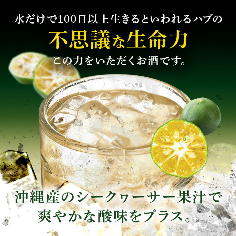 【ふるさと納税】【沖縄生まれの新感覚ハイボール】琉球ハブボール 24缶 セット ハイボール リキュール チューハイ 24本 1ケース 沖縄 ご当地 限定 地酒 泡盛 カクテル お酒 おもしろい 珍しい 面白い めずらしい家飲み 宅飲み ハーブ エキス 琉球 酎ハイ ブランデー ハブ酒 サムネイル3