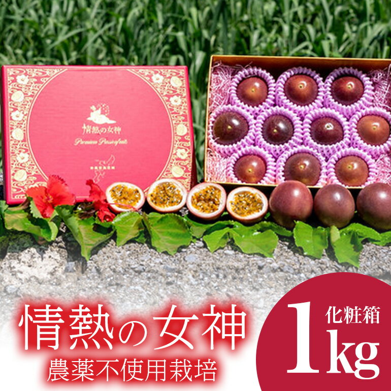 【 先行予約 2026年 発送 】 沖縄情熱農園 農薬不使用栽培 パッションフルーツ 「情熱の女神」 1kg (化粧箱) 贈答用 贈答品 ギフト 沖縄県産 果物 フルーツ くだもの 産地直送 農家直送 産直 酸味 甘い 1キロ 贈り物 沖縄県 糸満市 送料無料