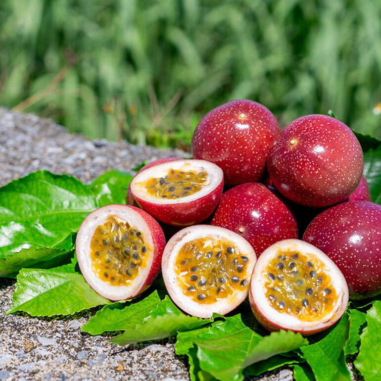 【ふるさと納税】【先行予約 2026年発送】沖縄情熱農園 農薬不使用栽培 パッションフルーツ 「情熱の女神」 1kg （エコ箱） 沖縄 家庭用 甘味 酸味 追熟 フルーツ 果物 トロピカル 南国 スイーツ デザート βカロテン ビタミン 葉酸 国産 糸満市 送料無料 サムネイル3