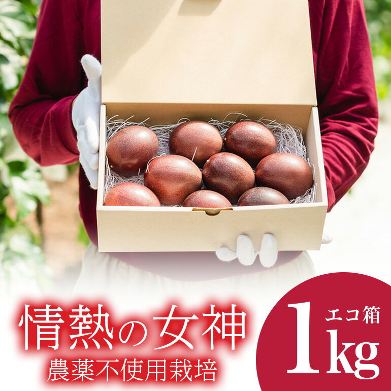 【先行予約 2026年発送】沖縄情熱農園 農薬不使用栽培 パッションフルーツ 「情熱の女神」 1kg （エコ箱） 沖縄 家庭用 甘味 酸味 追熟 フルーツ 果物 トロピカル 南国 スイーツ デザート βカロテン ビタミン 葉酸 国産 糸満市 送料無料